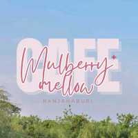Mulberry Mellow​