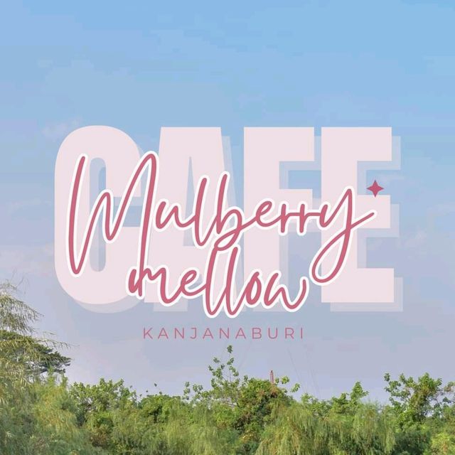 Mulberry Mellow​