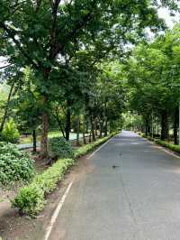 ชื่อ“สวนรถไฟ” แต่มีไว้สำหรับปั่นรถจักรยาน 🚴‍♀️
