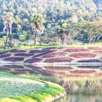รีสอร์ทวิวสนามกอล์ฟ