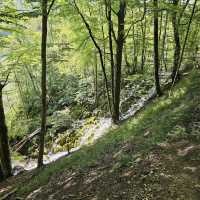 Plitvice Lakes: Croatia’s Cascade of Colors