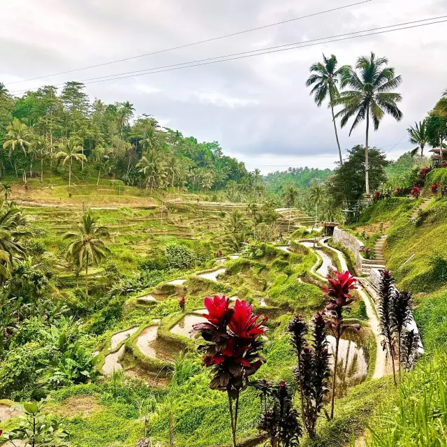 Bali, Indonesia: The Perfect Solo Escape