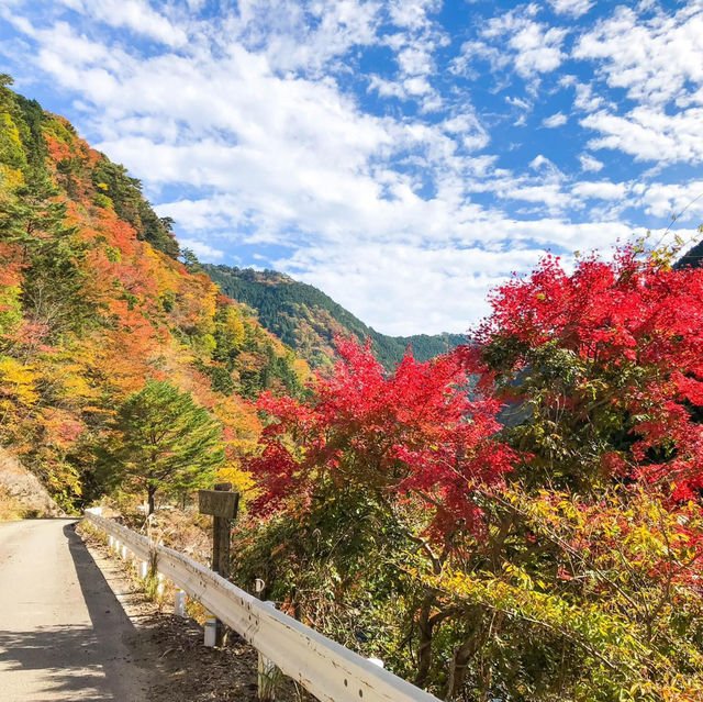殿川內溪谷