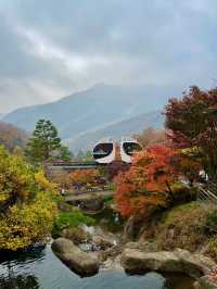 🌳🏠사진명소 곤지암 화담숲 가을에 추천해요💛