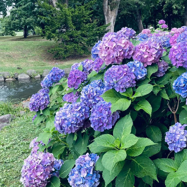 【8月好去處】英國花園～放鬆身心好去處