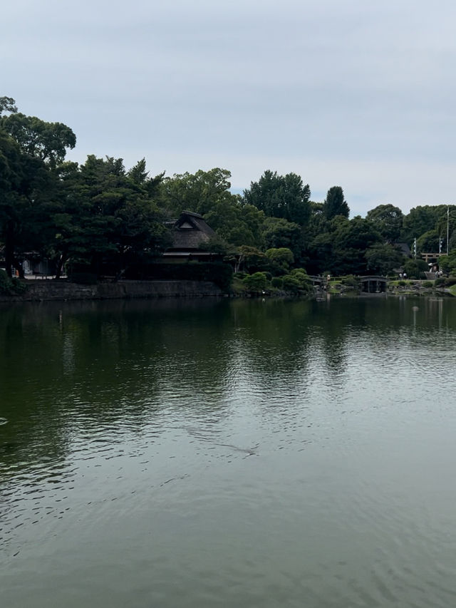 🌿 **水前寺成趣園 - 熊本の名勝回遊式庭園** 🌿