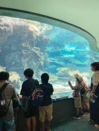 Asia's best Aquarium 