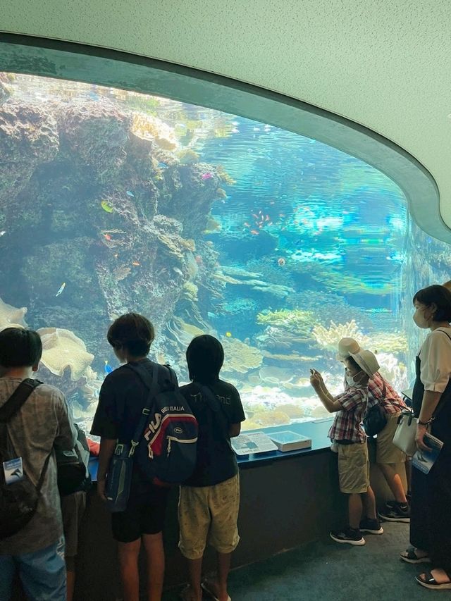 Asia's best Aquarium 
