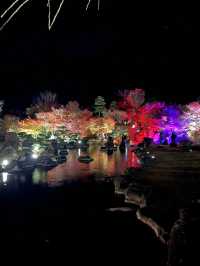 【大分観光】ライトアップされた紅葉を楽しめる日本庭園🍁✨️