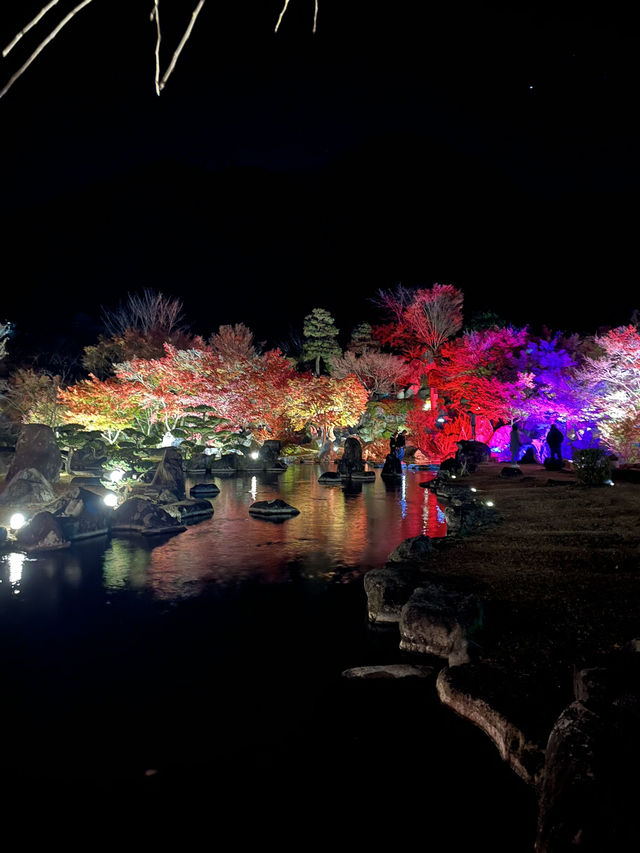 【大分観光】ライトアップされた紅葉を楽しめる日本庭園🍁✨️