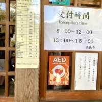 日本ㅣ東京ㅣ豪德寺ㅣ達願千貓神社/招財貓史祖