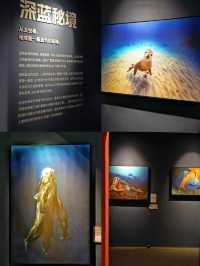 中國國家地理 • 探索科學藝術影像展