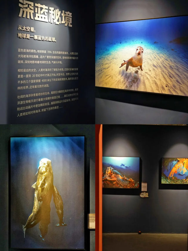 中國國家地理 • 探索科學藝術影像展