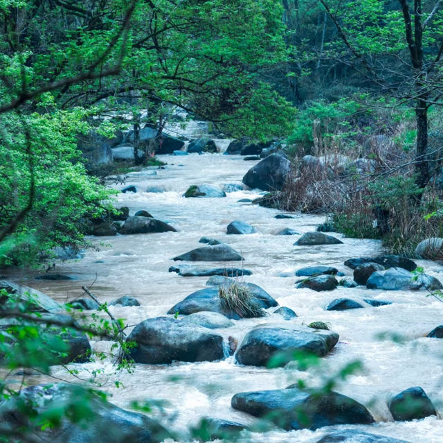 親川滝 - 鬱鬱蔥蔥