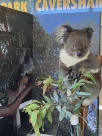 【オーストラリア/パース】人気者たちに会える動物園🐨