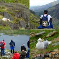 Snowdonia, Wales 🏴󠁧󠁢󠁷󠁬󠁳󠁿