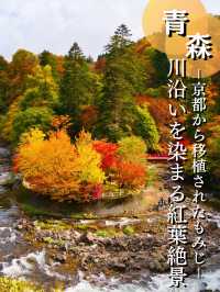 【青森】「ここはすべてが魅力的である。」と海外の文献に残る紅葉スポット🍁観光攻略付き✨