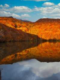 【青森】予約が必要な真っ赤に染まる絶景🌅訪問攻略情報付き📝
