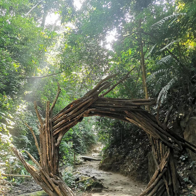 ～大自然的懷抱～森林木棧道～