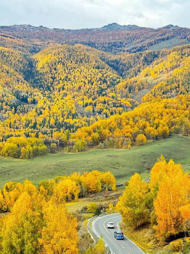 Autumn Journey to Hemu: Encountering First Snow on Yunxiao Peak