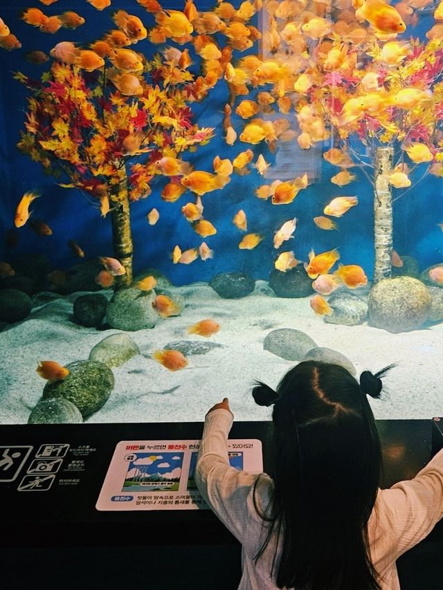 대구 도심지에서 물고기 데이트 할 수 있는 대구 아쿠아리움 대구 도심지에서 물고기 데이트 할 수 있는 대구 아쿠아리움