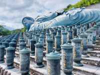 ไหว้พระชมวิวสวยๆที่วัดนันโซอิน🎌🌿