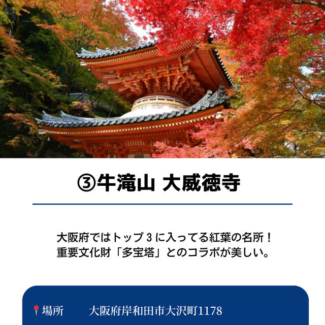 【保存必須!!】2024 大阪の紅葉スポット