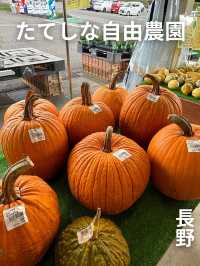 🇯🇵たてしな自由農園