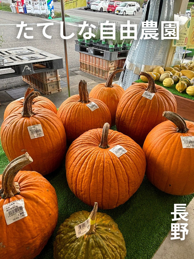 🇯🇵たてしな自由農園