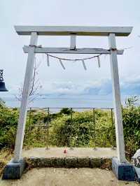 【千葉県】150段上から眺める絶景神社