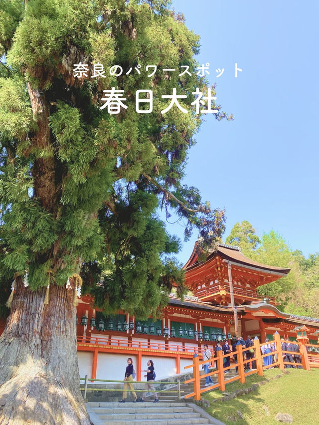 【朱塗りのあでやかな社殿が魅力✨世界遺産春日大社⛩️】