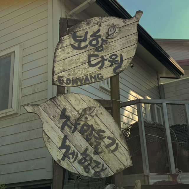 보성 녹차밭 산책 녹차체험 여행