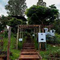 The Nest at Samoeng doinok resort