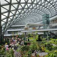 เที่ยวระยอง ชม Miracle of Natural 