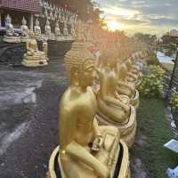 วัดพูสะเหล้า วัดที่มีมุมมองที่สวยที่สุดของปากเซ