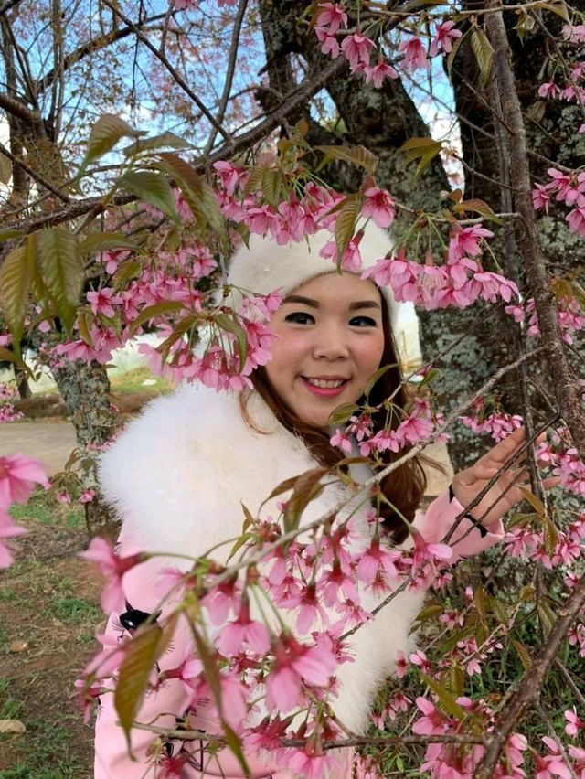 ศูนย์วิจัยเกษตรหลวงเชียงใหม่ ขุนวาง