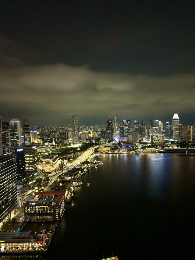 シンガポール　シンガポール観光　Level33からの夜景を見ながら呑むビールは最高だぞ！