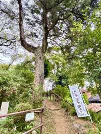 【埼玉県】和光市にある絶景の富士塚
