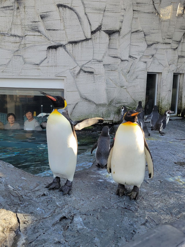 【動物たちが間近に✨あさひやま動物園🐻‍❄️】 