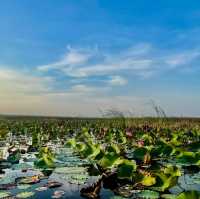 นั่งเรือชมวิวที่บึงบัวสามร้อยยอด🌿💦
