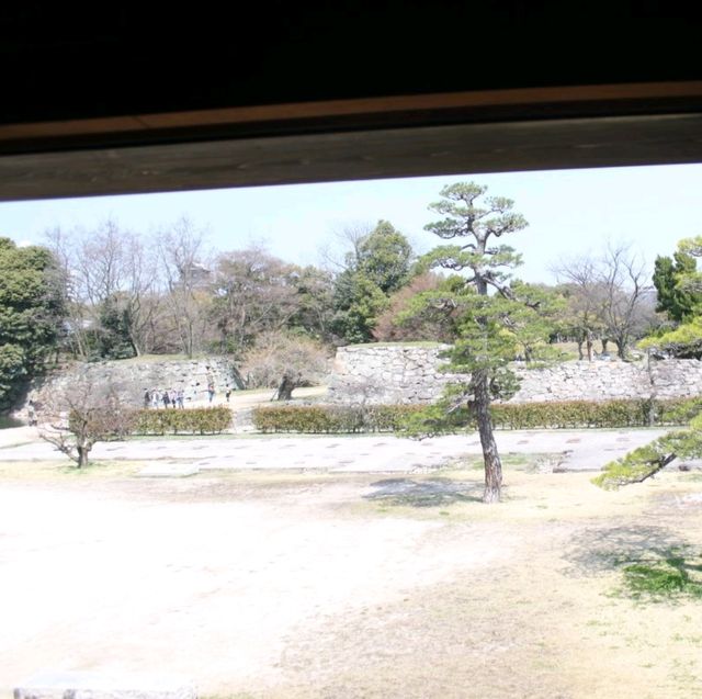 【広島】広島城の歴史と季節の彩が楽しめる鯉城