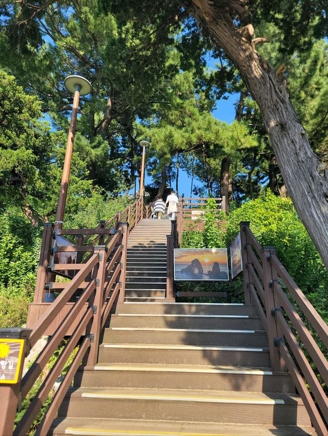 동해일출명소로 유명한 추암촛대바위🩵