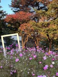 สวนสาธารณะ Seoul grand park