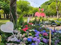 台北賞花好去處🪻大安森林公園🌺