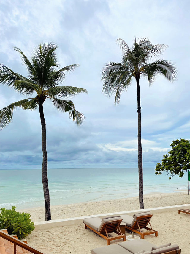 คาเฟ่ริมทะเลที่ Salt Society Samui