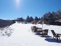 Ryuoo Ski Park ลานสกี จ.นากาโนะ