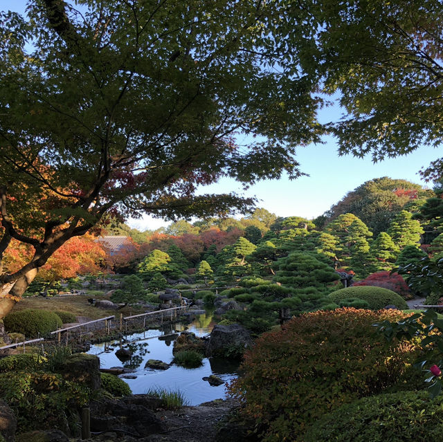 🇯🇵【島根県】由志園！！紅葉シーズンが更に美しい✨