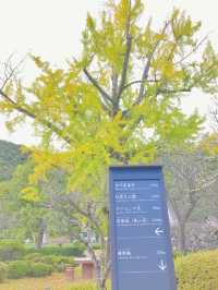 岩国市民に寄り添う歴史公園【岩国観光旅】