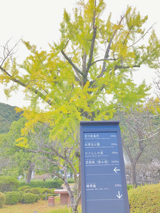 岩国市民に寄り添う歴史公園【岩国観光旅】