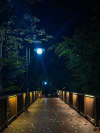 전주 한옥마을을 내려다볼 수 있는 곳